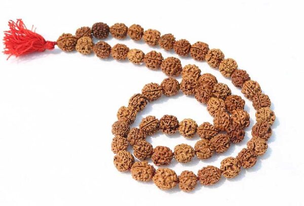 3 Mukhi Rudraksha Kantha