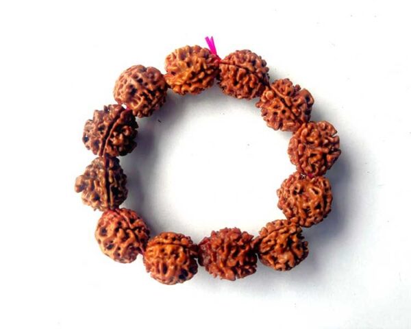 3 Mukhi Rudraksha Bracelet