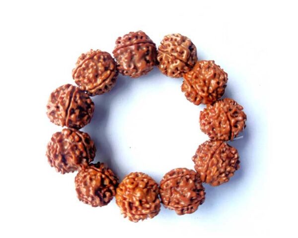 4 Mukhi Rudraksha Bracelet