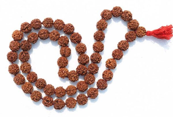 4 Mukhi Rudraksha Kantha