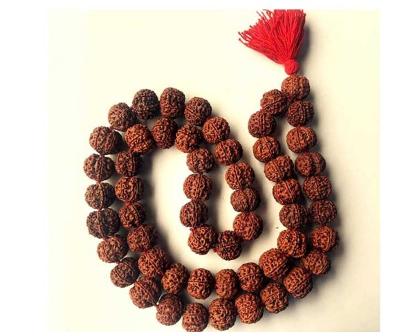 6 Mukhi Rudraksha Kantha